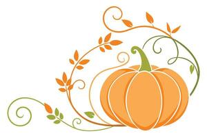 Decorative Orange Pumpkin with Vines and Leaves Illustration for Autumnal Themes vector