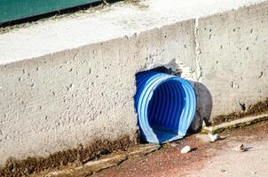 sewage or drainage pipe detail at ground level, blue corrugated drainage pipe in concrete wall photo