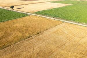 aerial patchwork of spring agricultural fields, agriculture background concept photo