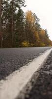 A road with white lines and trees in the background photo