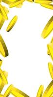 Gold coins vertical frame with copy space vector