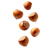 Stack of hazelnuts isolated on transparent background png