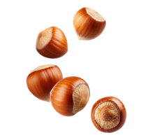 Hazelnuts in Shell Isolated png