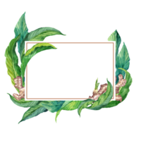 Rectangular frame with Ginger leaves and roots png