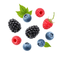 Airborne blueberries, raspberries and blackberries floating isolated on transparent background for vegan fruit themes. Colorful berry mix with blueberries, raspberries and blackberries flying png