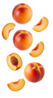 Nectarine slices and whole nectarines falling down with transparent background for organic fruit visuals, healthy snack concepts, and summer diet designs. Flying nectarine pieces and whole nectarines png