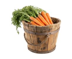 An old rustic wooden bucket filled with fresh carrots isolated on a transparent background png