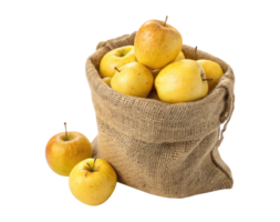 Fresh yellow apples in a burlap sack isolated on a transparent background png