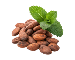 A pile of shelled cocoa beans with mint leaf isolated on a transparent background png