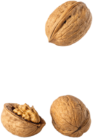 Delicious and Nutritious Walnuts Isolated on Transparant background png
