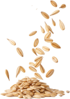 Golden oat grains cascading onto a heap against a Transparant background png