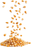Golden cascade of corn kernels against a stark Transparant background creating dynamic movement png