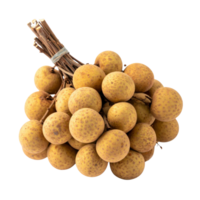 Longan fruit cluster on branches, fresh and ripe png
