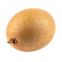 Single fresh sapodilla fruit on transparency background png