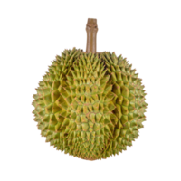Spiky green durian fruit isolated on transparency background png