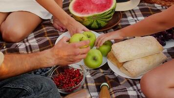 Friends gather for a delightful summer picnic. They enjoy fresh apples, watermelon, and grapes on a cozy blanket while sharing delicious baked goods and refreshing drinks. video