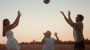 A family shares a joyful moment in a golden field at sunset. The parents engage in a lighthearted game with their daughter, creating laughter and warmth in the evening glow. video