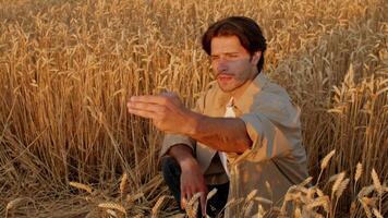 A young man in casual attire sits in a golden wheat field, gazing thoughtfully as the sun sets. The surrounding landscape is serene, bathed in warm light, creating a peaceful atmosphere. video