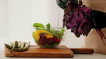 A skilled chef in an eco-friendly kitchen carefully arranges fresh vegetables in a glass bowl. Colorful greens, peppers, and herbs create a nutritious salad, highlighting healthy cooking practices. video