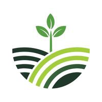 Green Plant Sprouting from Green and Dark Green Curved Lines Representing Fields vector