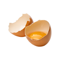Broken eggshell with yolk remaining inside showing texture and detail png
