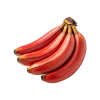 A Bunch of Vibrant Red Bananas Isolated on a Gray Background a Delicious and Healthy Tropical Fruit png