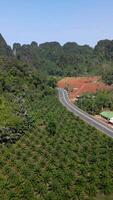 Aerial view of scenic winding road in Krabi, Thailand, passing through lush tropical forest, palm plantations, limestone cliffs, red soil fields, and scattered buildings. video