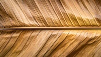 dry banana leaf close-up top view, natural brown texture with organic vein lines and dried surface pattern for tropical background or eco-friendly packaging design photo