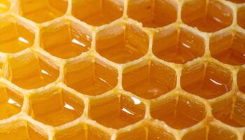macro close-up of golden honey in wax honeycomb cells, filled hexagonal pattern texture from natural beehive, sweet organic food background photo