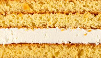 close-up cross-section of fluffy sponge cake slice with thick white cream layer, airy yellow cake texture background for dessert design and food packaging photo