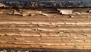 close-up side view of aged vintage book pages with frayed and wrinkled texture, old antique paper stack background, historical decay concept photo