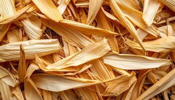 top view of dry corn husk texture layered naturally, rustic organic surface for eco packaging, farm product background and natural crafting material photo