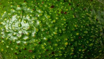 macro close-up texture of pitted green avocado skin surface with natural bumps and pores pattern photo