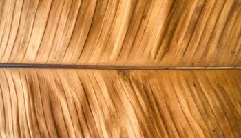 top view of dry banana leaf surface with soft brown veins and natural texture, botanical organic background for eco packaging or rustic design photo
