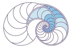 Nautilus Shell Spiral Geometric Art, Divine Proportion, Fibonacci Sequence vector
