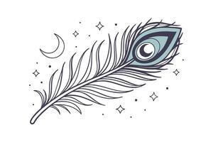 Mystical Peacock Feather, Celestial Design, Moon, Stars, Line Art vector
