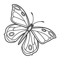 Butterfly Line Drawing for Nature Design Projects vector