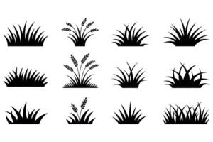Twelve grass and wheat icons isolated on white background vector