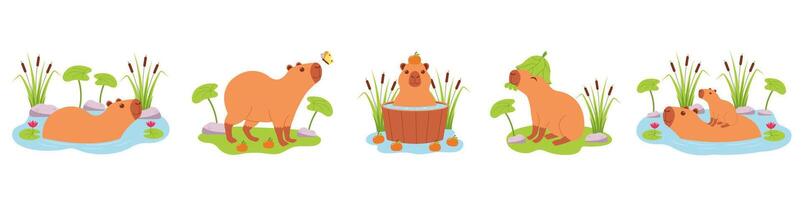 Cute capybaras characters set. Capibaras in different actions, they swimming in water, bathing, walking, eating. vector