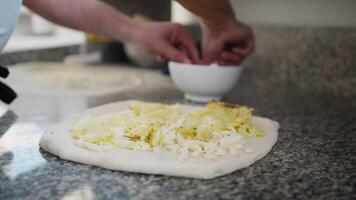 Professional Chef Preparing A Pizza With Octopus In The Restaurant Kitchen video