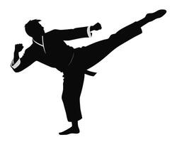 Silhouette of a martial artist executing a powerful high kick with dynamic action vector