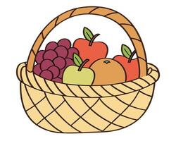 Colorful illustration of a wicker basket filled with fresh grapes apples and oranges vector