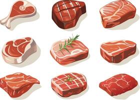 illustration of various cuts of freshly prepared raw meat for culinary and butchery uses vector