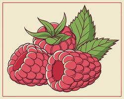 Freshly picked vibrant raspberries illustration with green leaves on a cream-colored background for design elements vector
