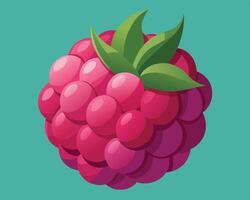 Delicious cartoon style raspberry illustration with green leaves against a turquoise background vector