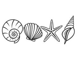 Black and white illustration of seashells starfish and nautical marine elements vector