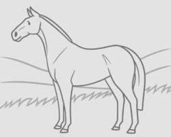Simple outline drawing of a horse standing in a grassy field ready for action vector