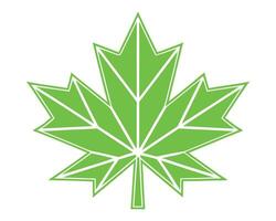 A stylized green maple leaf illustration isolated on a white background vector