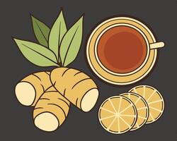 Fresh ginger tea illustration with lemon slices and green leaves on a dark background vector
