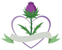 Scottish thistle flower design with heart shape and banner on white background vector